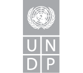 UNDP